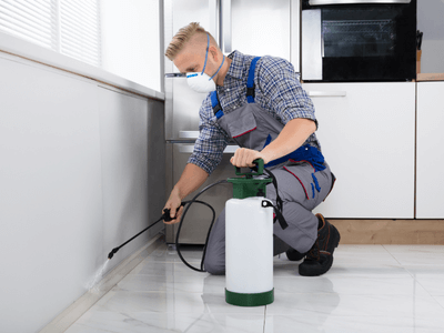 About California Pest Control - pest control services experts in California